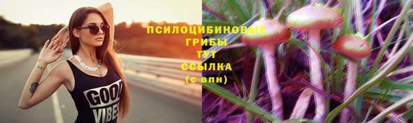 первитин Балахна