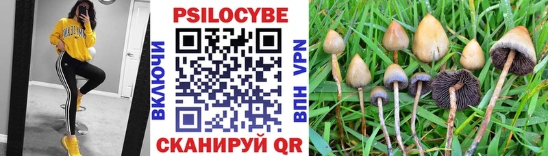 ссылка на мегу ONION  Урюпинск  Псилоцибиновые грибы GOLDEN TEACHER 